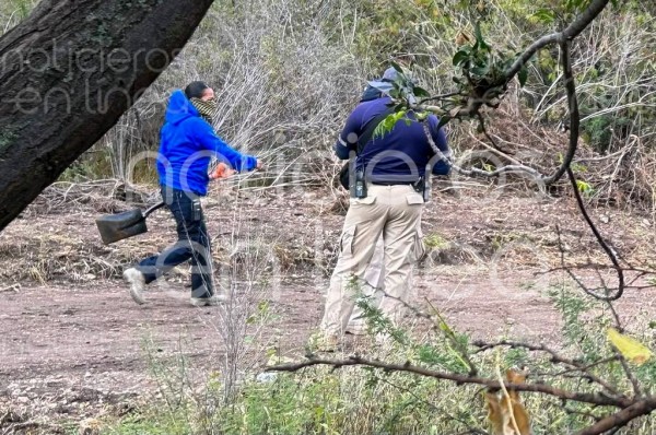 Colectivos de búsqueda hallan restos enterrados en La Noria