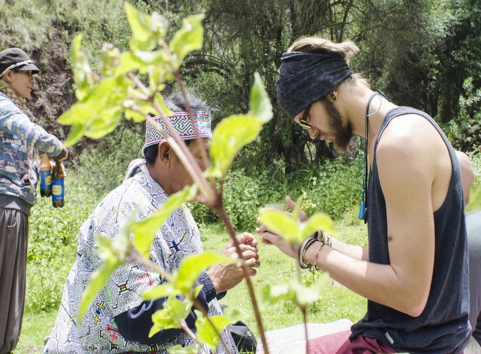 Advierten sobre el riesgo de los retiros de ayahuasca