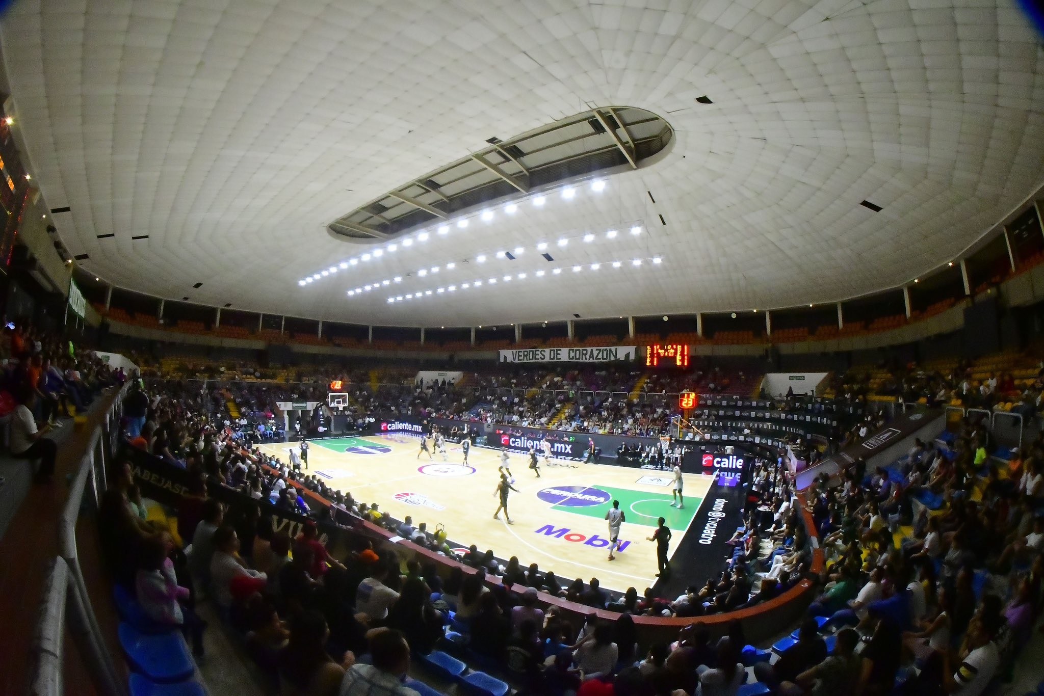 Abejas de León tendrán nueva casa