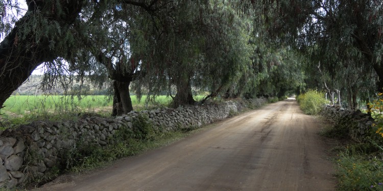 Esta comunidad de Guanajuato ha registrado la temperatura más baja de la temporada