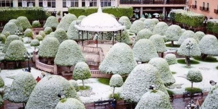 Se cumplen 26 años de nevada en León