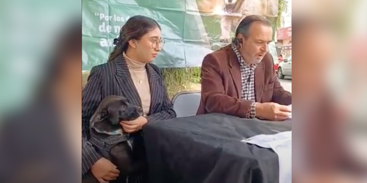 Ganan amparo para evitar sacrificio de perros y gatos en Celaya
