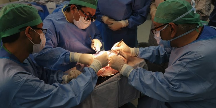 En Guanajuato se han realizado 311 trasplantes en lo que va del 2023