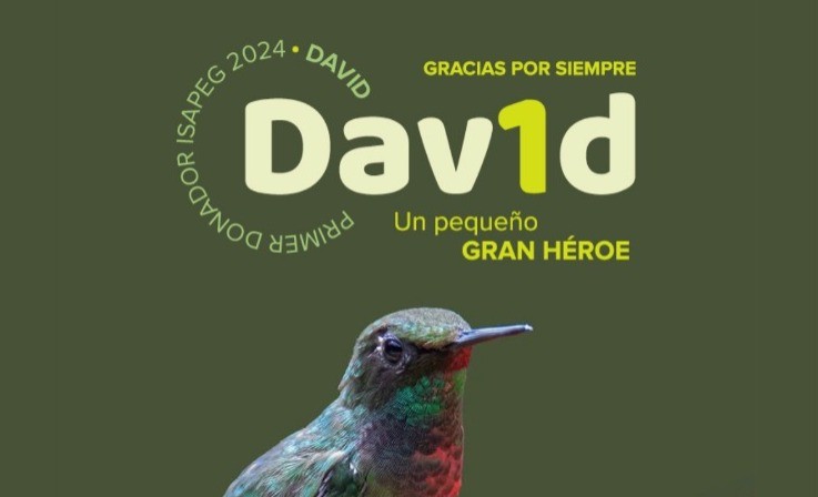 Niño celayense dona sus órganos tras caer de un caballo