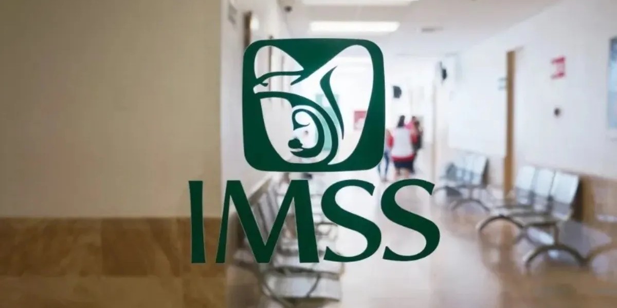 Detecta IMSS Guanajuato uso de documentos falsos en empresas