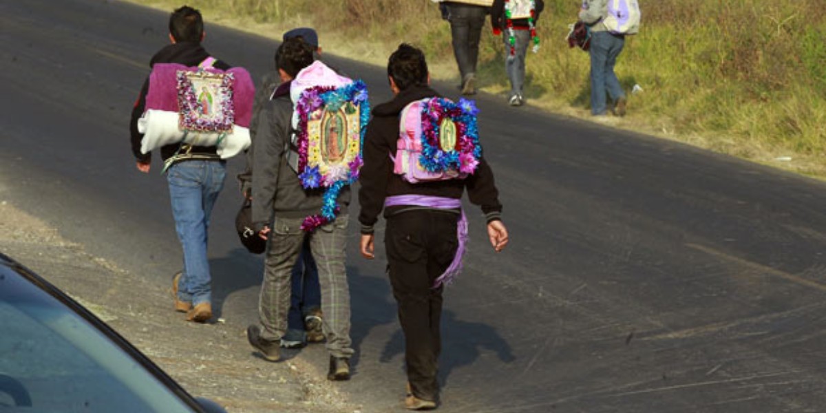 León: Alistan campamentos para peregrinos rumbo a San Juan de los Lagos