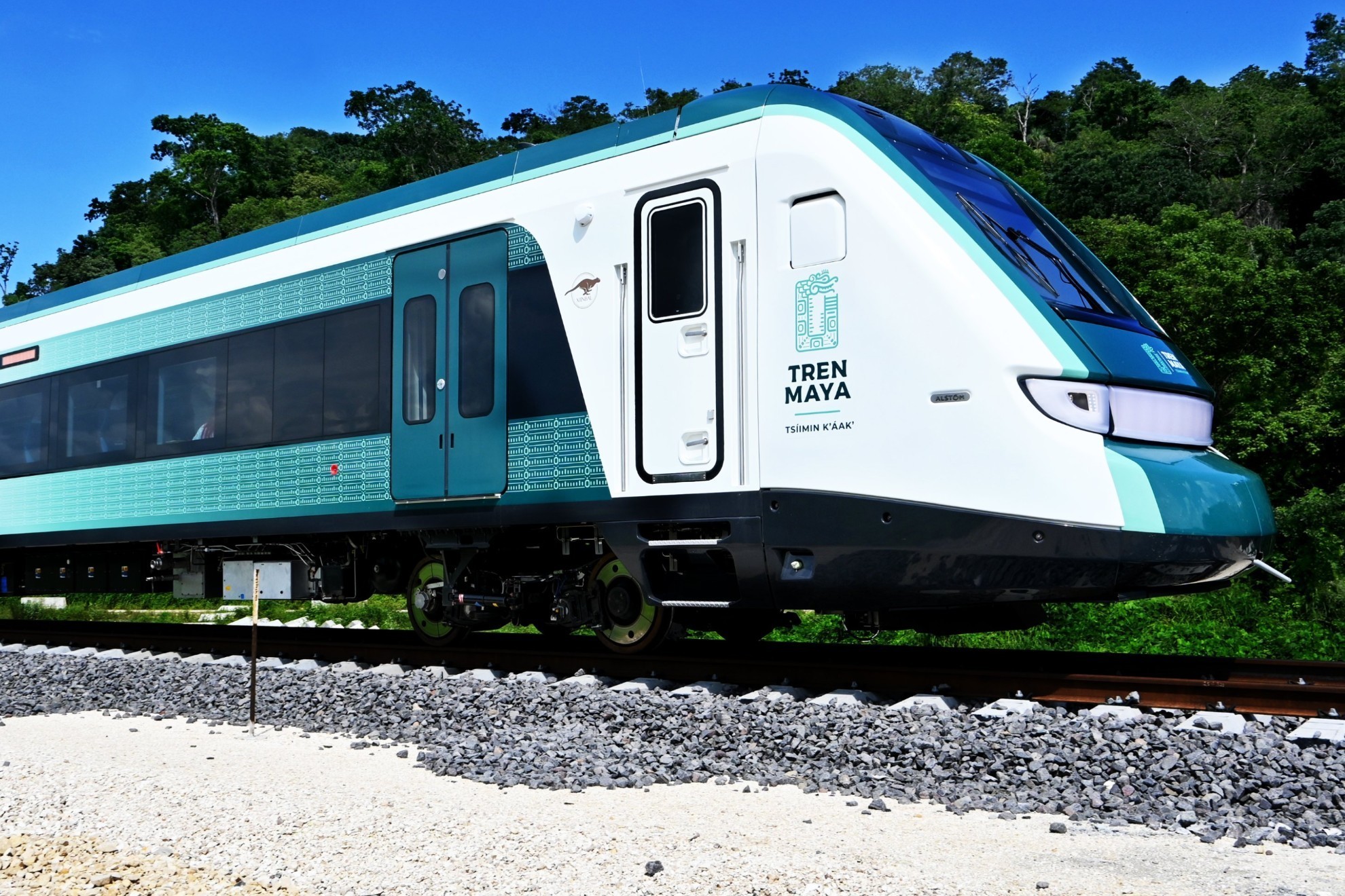 Descuentos exclusivos: Tarjeta INAPAM facilita viajes en Tren Maya