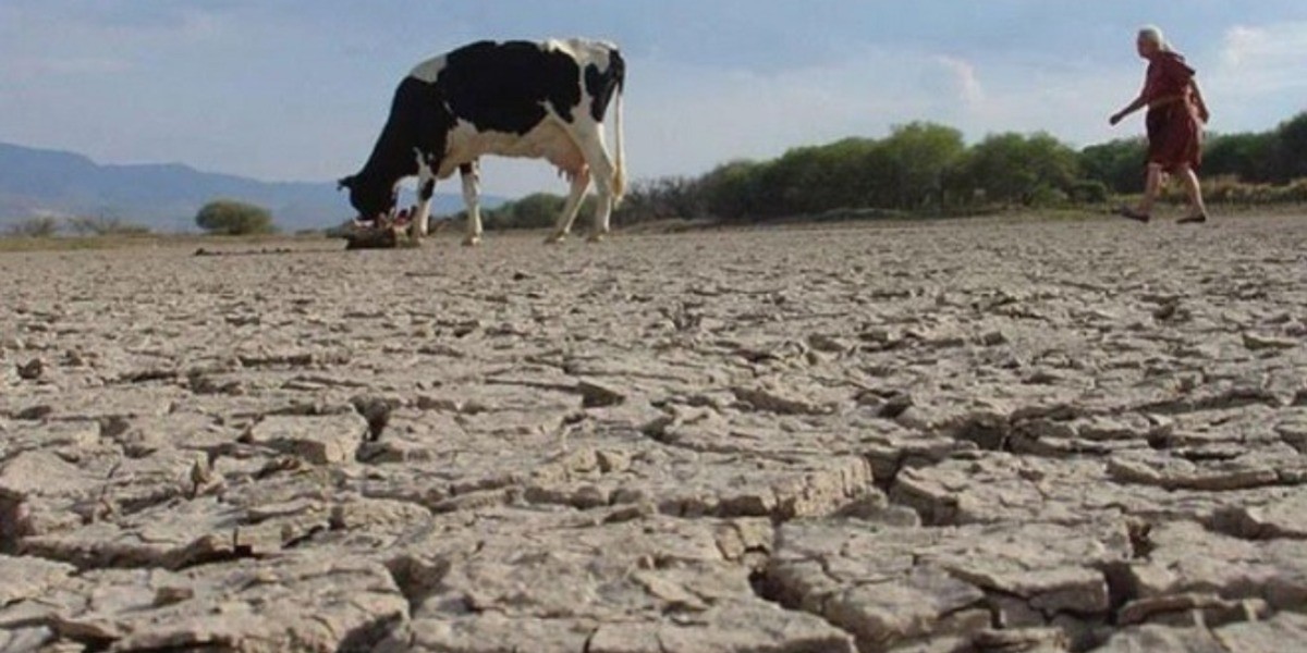Bordes de la zona rural de León ya están secos; inicia el apoyo a comunidades