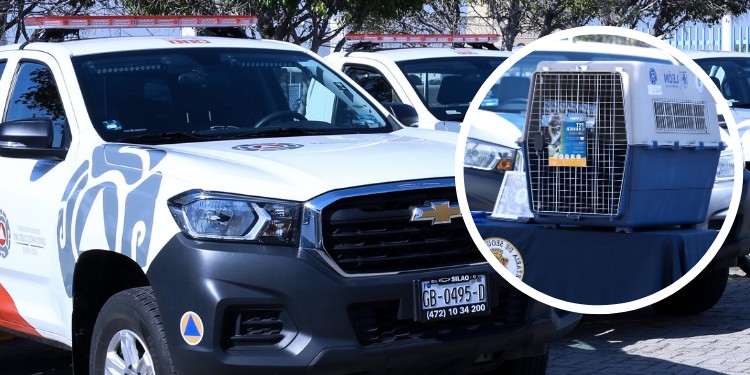 PC crea programa para el rescate de fauna; Municipio entrega equipo