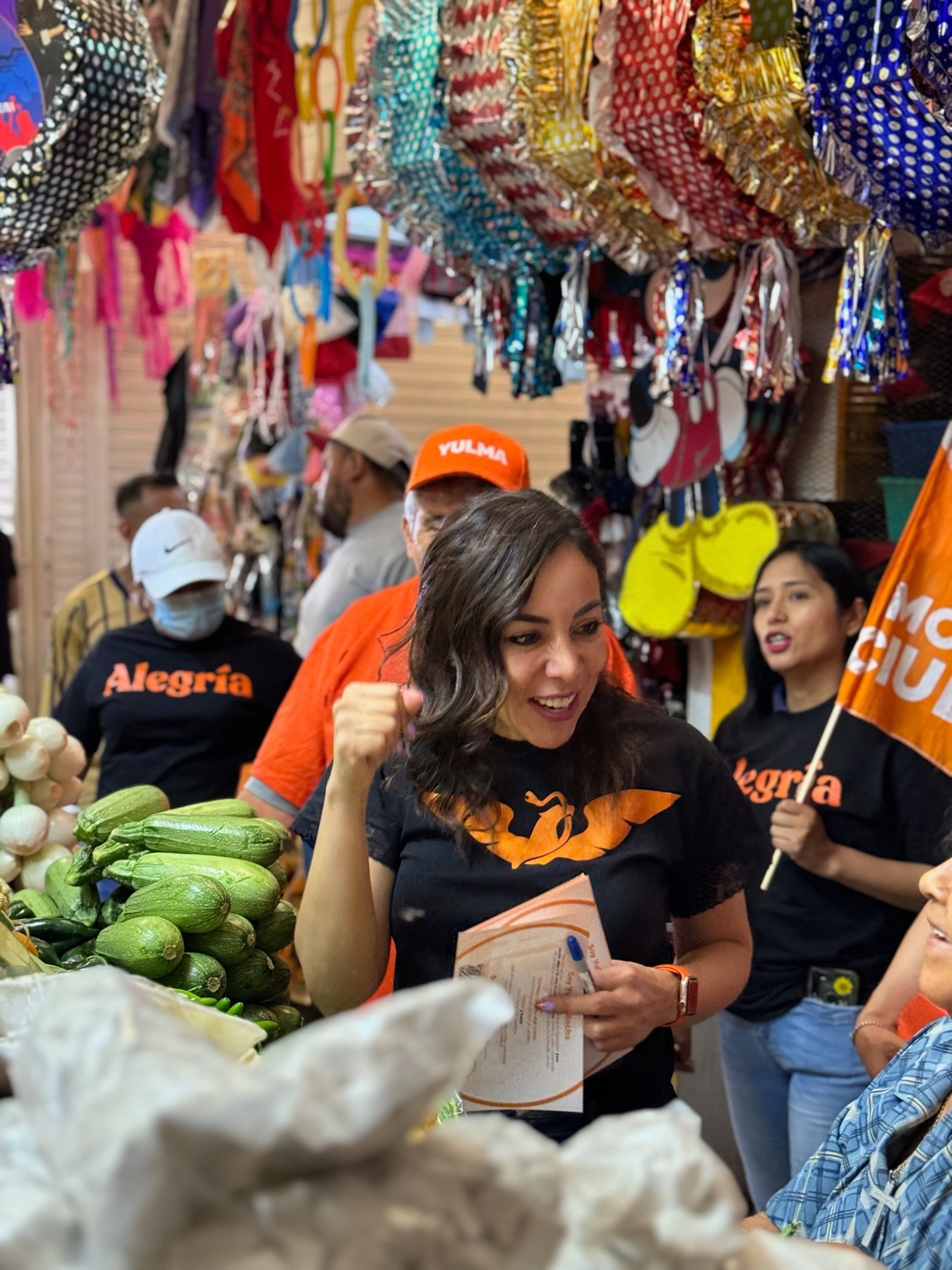 Adiós a Zamarripa por “urgencias electorales“: Yulma Rocha