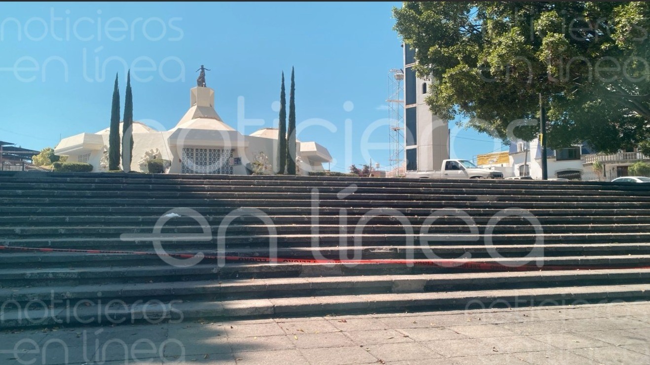 Enjambre de avispas ataca en los jardines de una parroquia en León