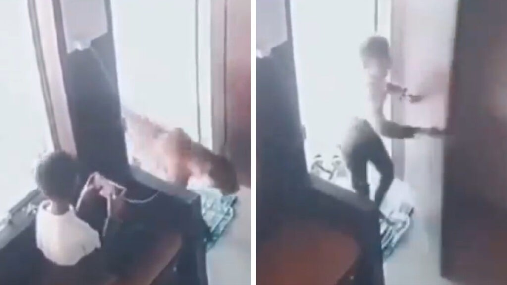 ¿Quién dijo miedo? Niño encierra a leopardo en oficina 