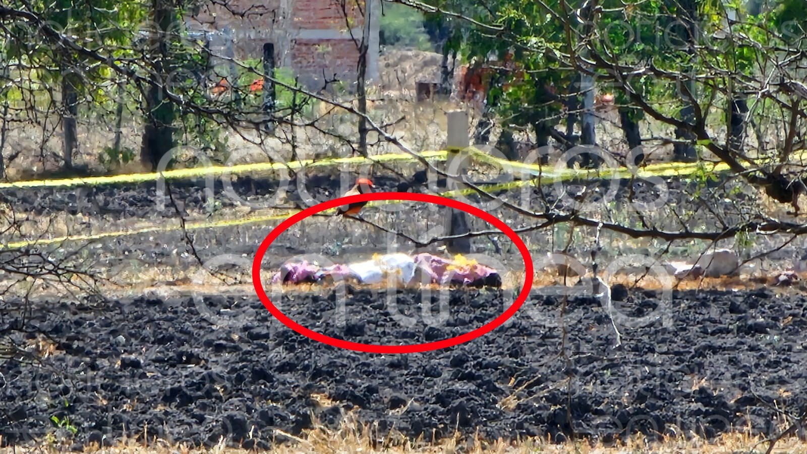 Hallan cuerpo encobijado en la comunidad La Correa, León