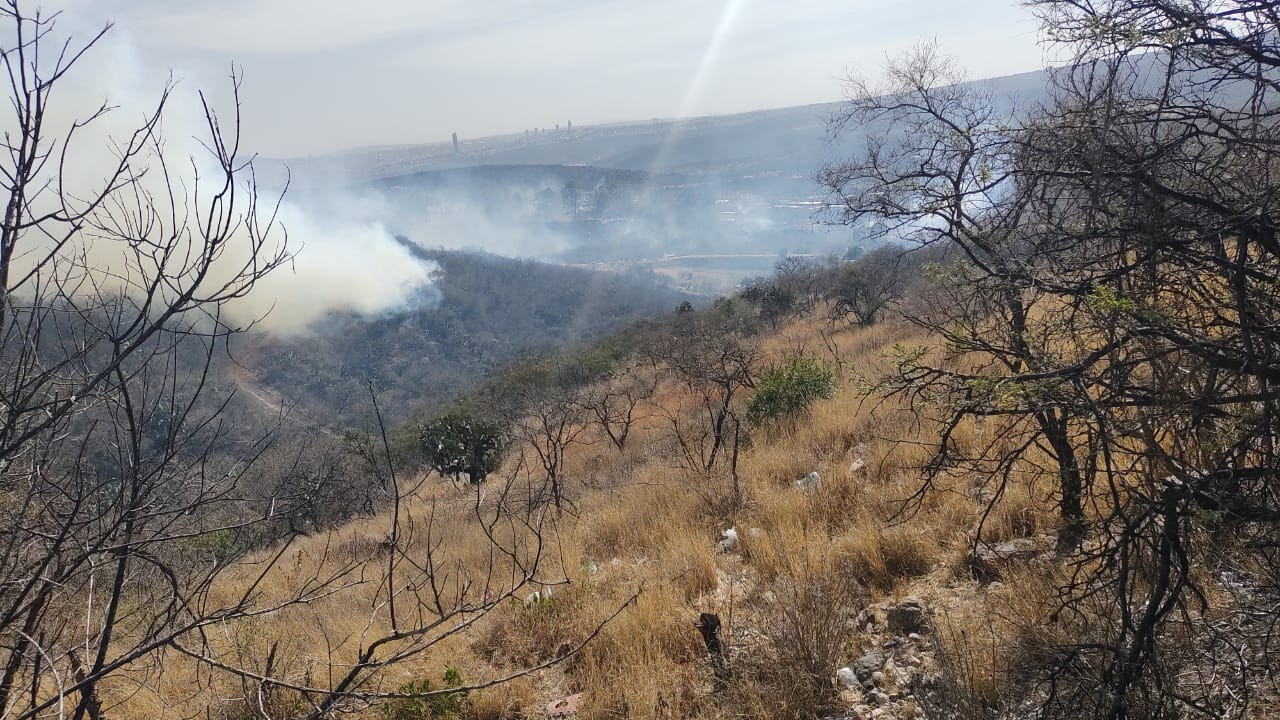 Incendio en Sierra de Lobos ya fue controlado al 100%