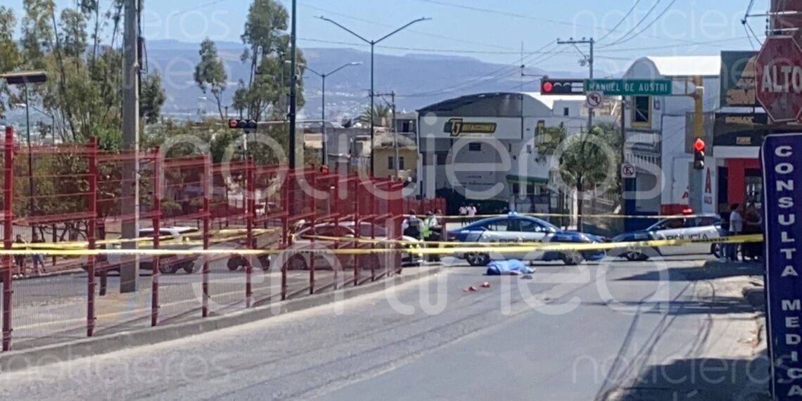 Diario ocurren más de 2 mil conflictos viales en León: Asociación de Familiares de Atropellados