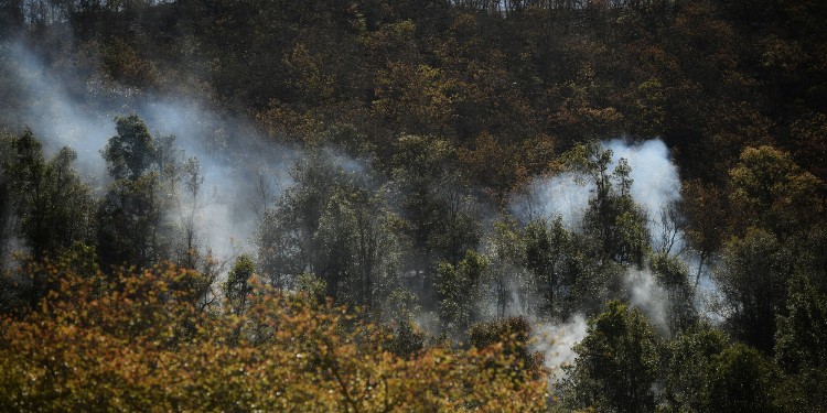 Incendio en la Sierra de Santa Rosa sigue extendiéndose; Guanajuato declara emergencia