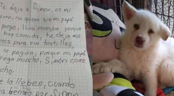 Niño deja a su perrito Simón en albergue para que su papá no lo maltrate
