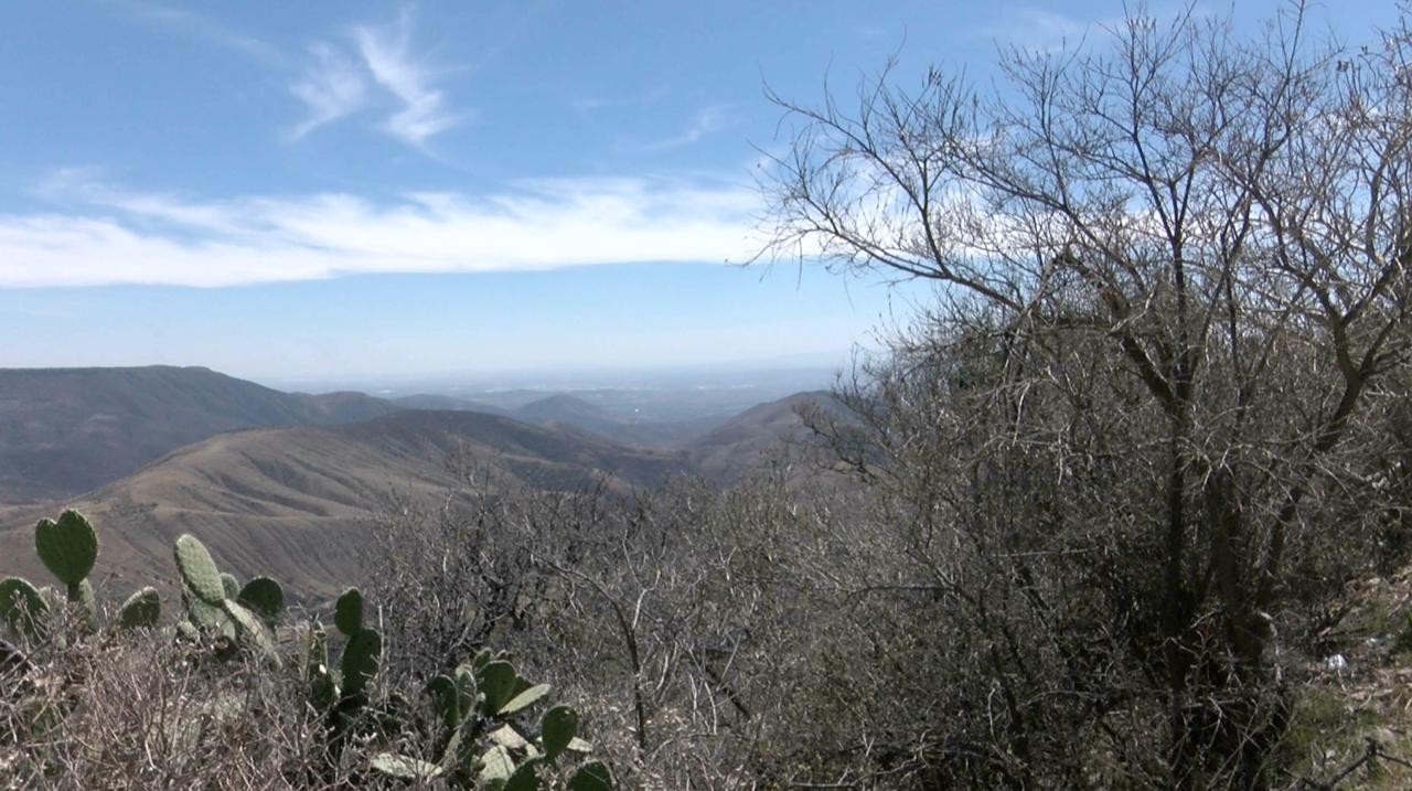 Temen por la sequía en la zona rural del norte de León