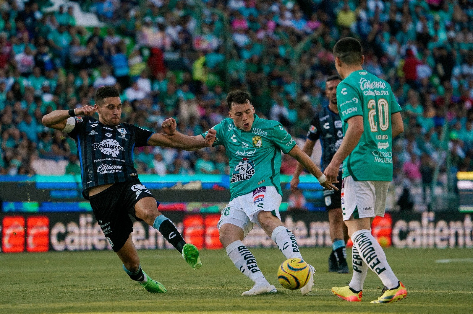 Cae 'La Fiera' en casa contra Querétaro