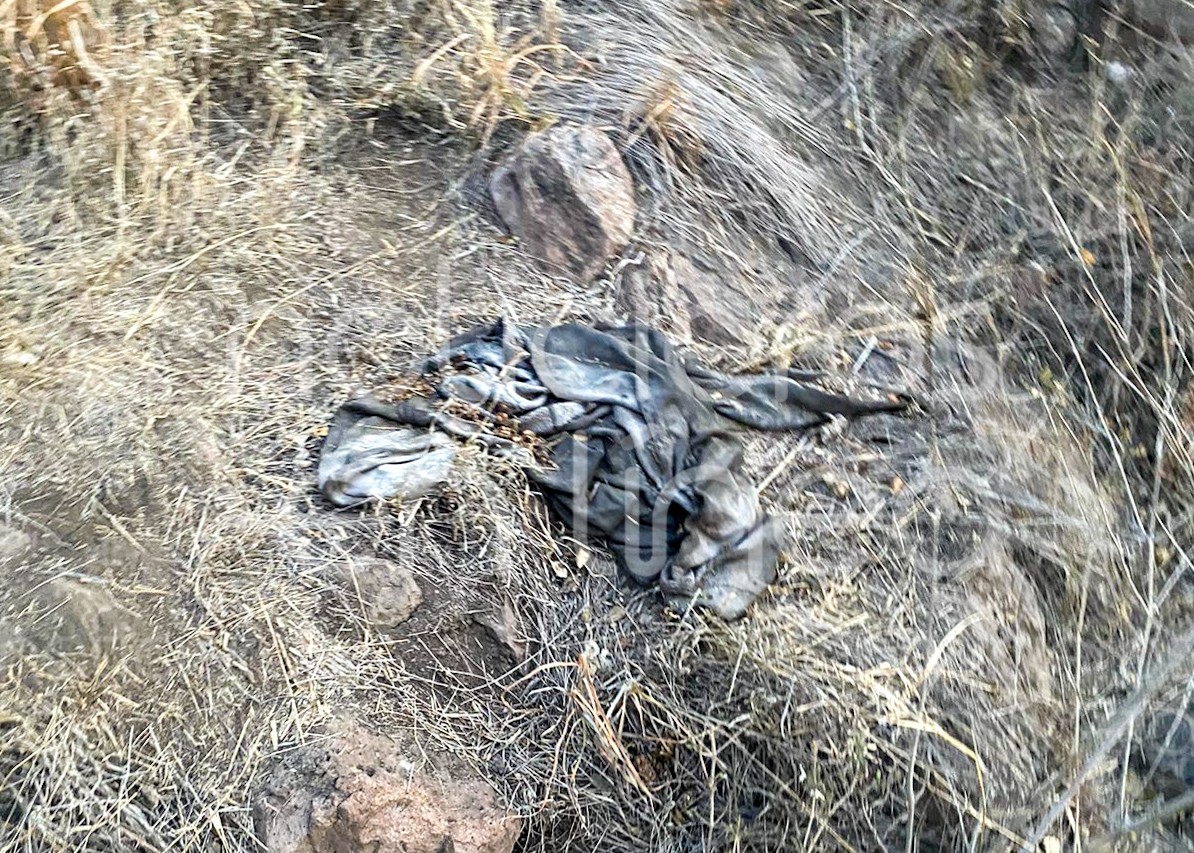 Localizan cráneo y restos óseos en la colonia Monte de Cristo