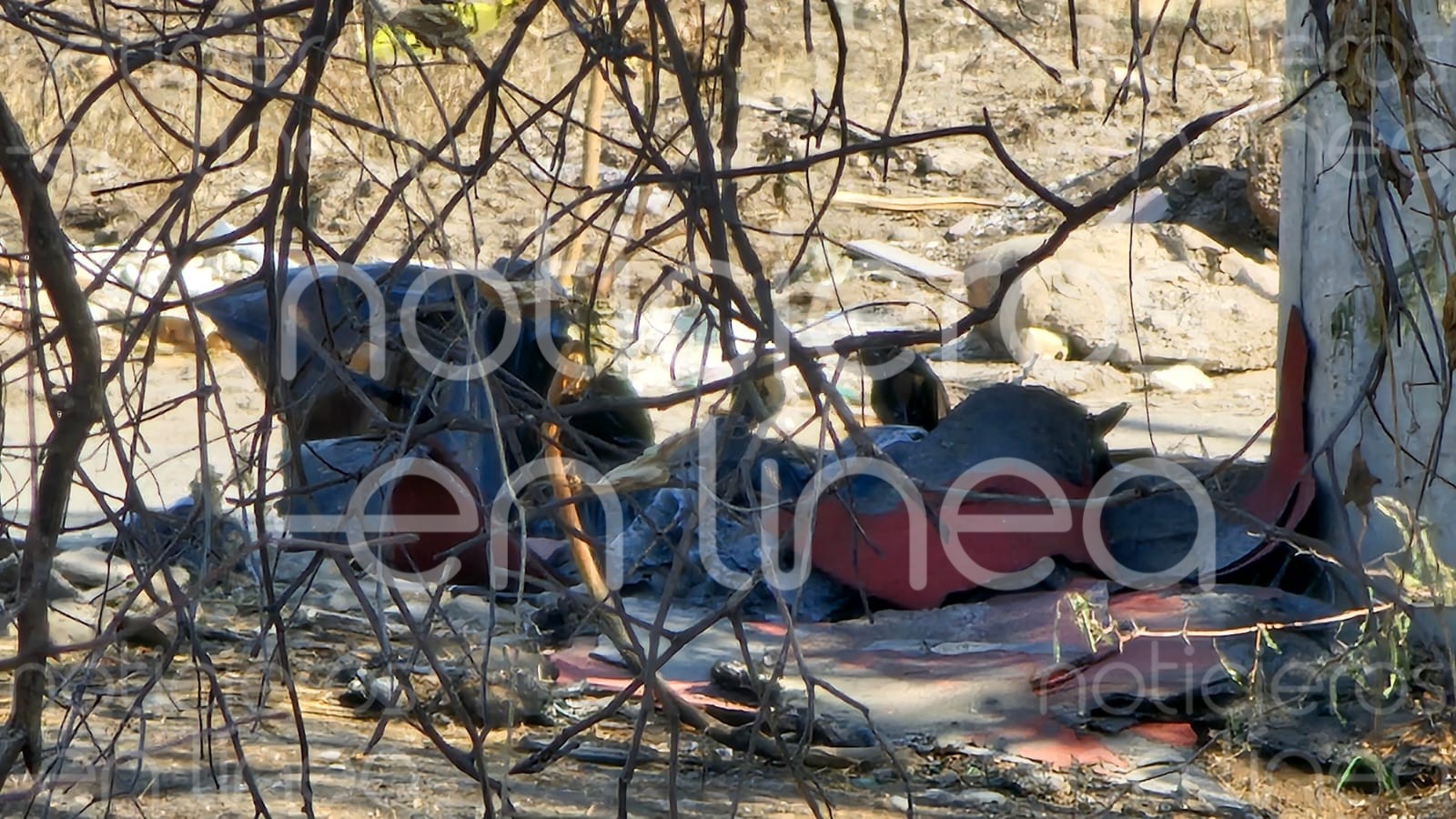 Localizan bolsas con restos humanos por el Tajo a Santa Ana