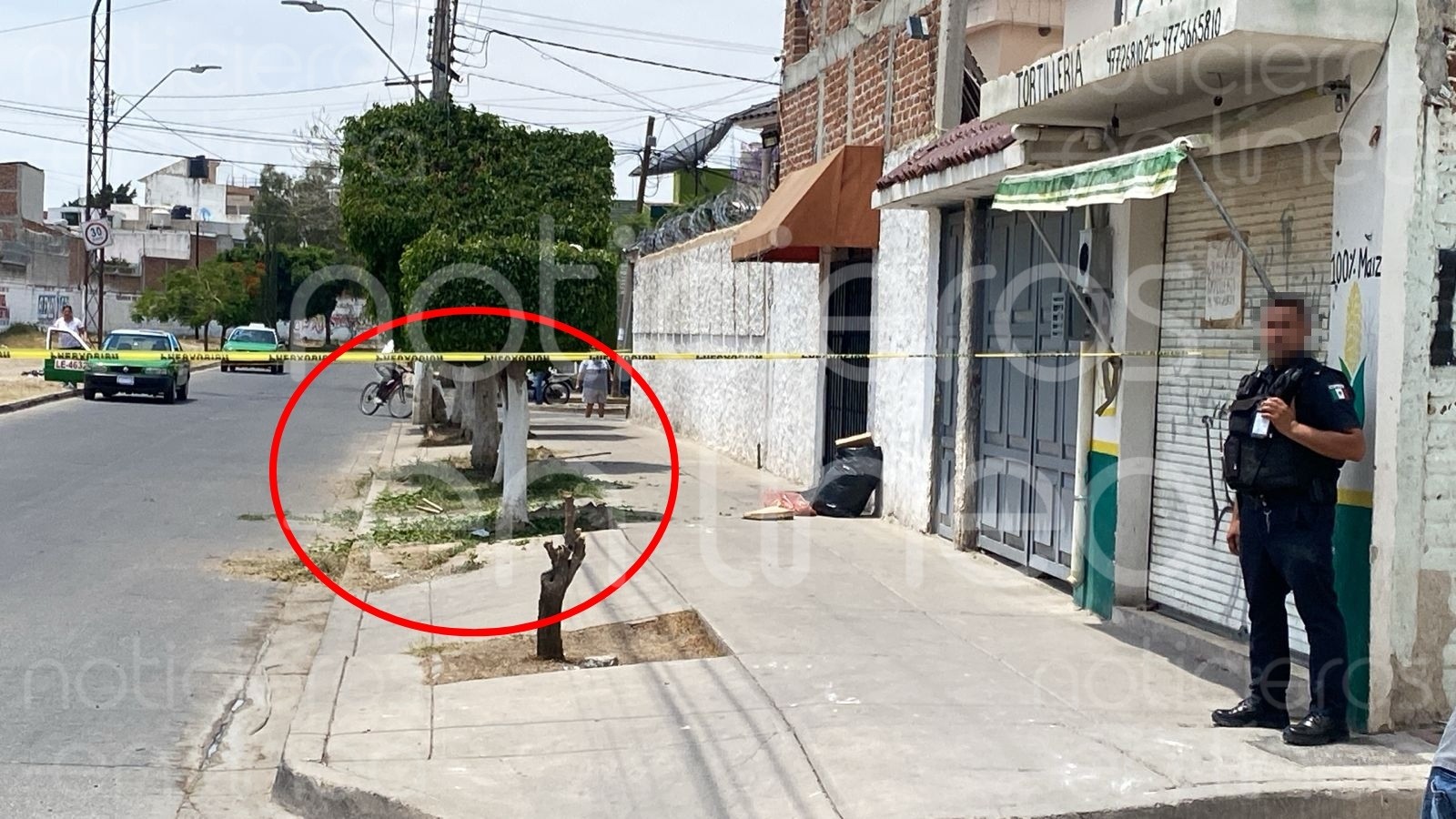 Atacan a balazos a hombre mientras podaba árboles en Las Arboledas