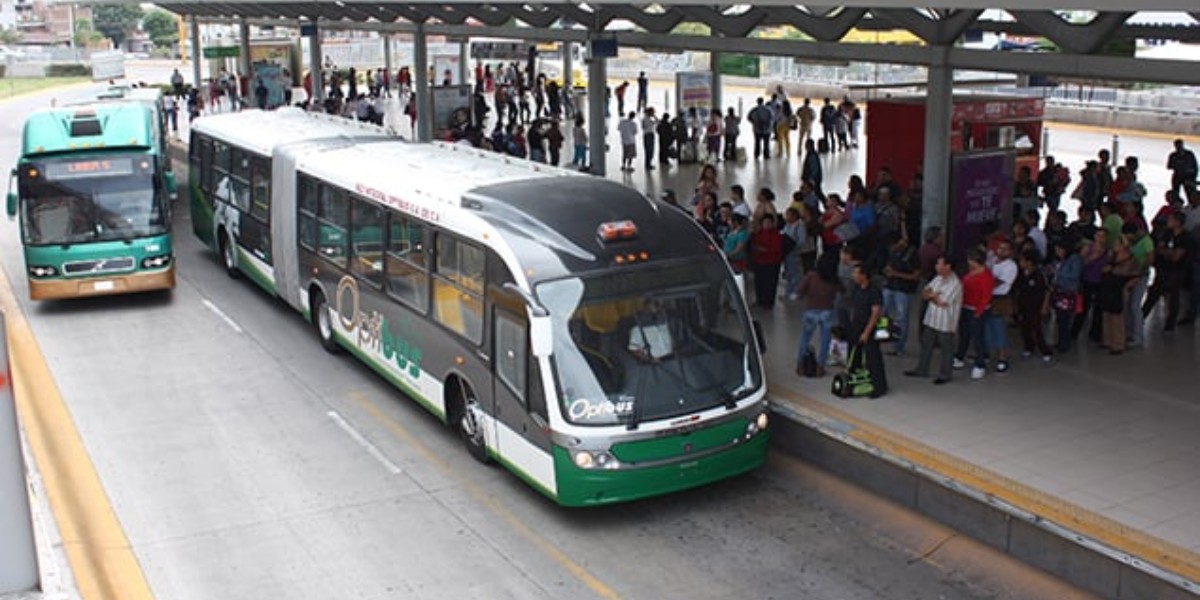 SIT León remodelará autobuses y agregarán dos rutas exprés