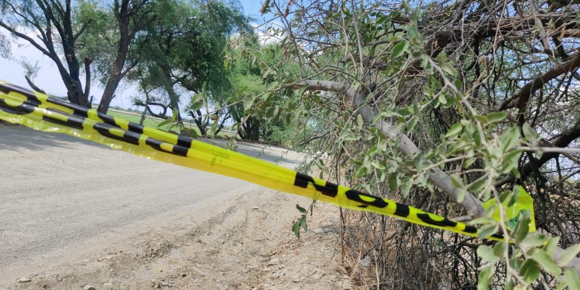 Hallan cuerpo semienterrado en La Sandía