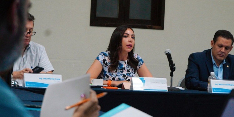 Se reúne Yulma Rocha con la CICEG