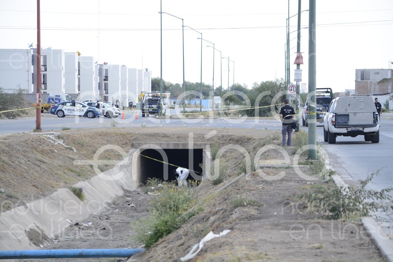 Héroes de León, donde fue asesinado policía, tiene alta incidencia en robos