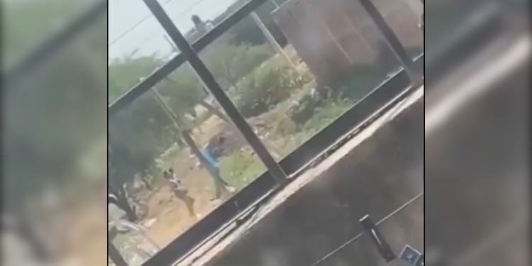 Perro muere al intentar proteger a una mujer y un niño en León