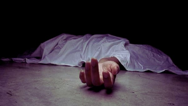 Guanajuato: Diario una mujer fue asesinada en el primer trimestre de 2024
