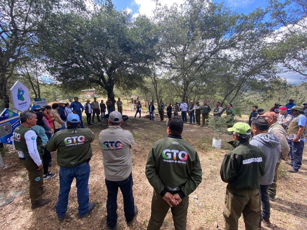 Lanzan convocatoria para contratar guardaparques en León