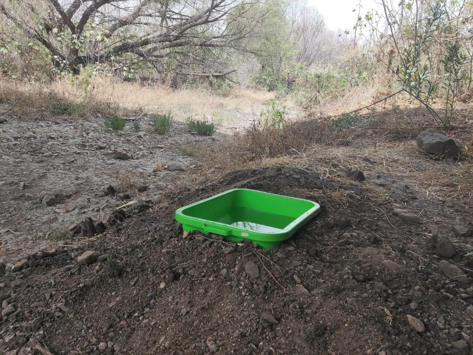 Colocan bebederos para hidratar a la fauna en Parque Metropolitano