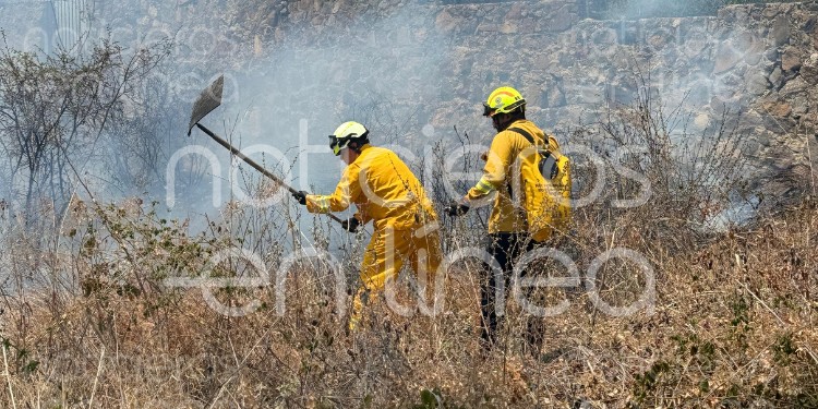 Incendio en Cañada del Refugio deja 2 hectáreas afectadas