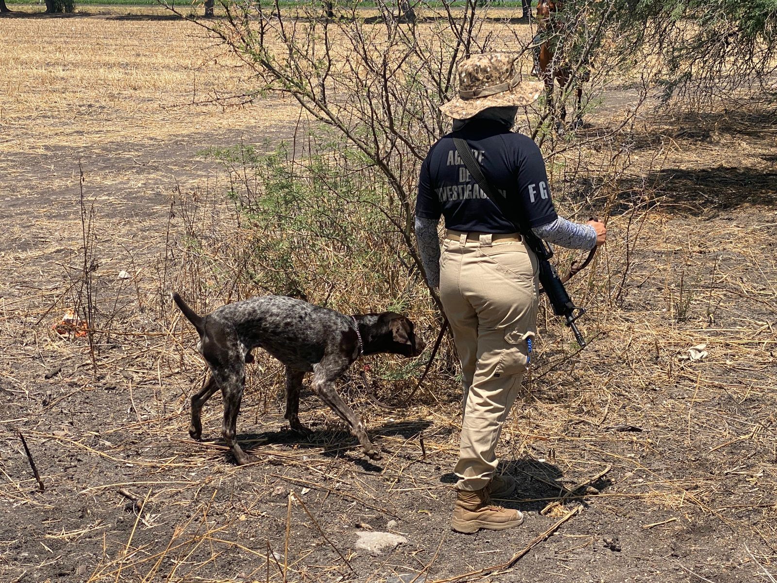 Infancias jornaleras son las más vulnerables, señala activista