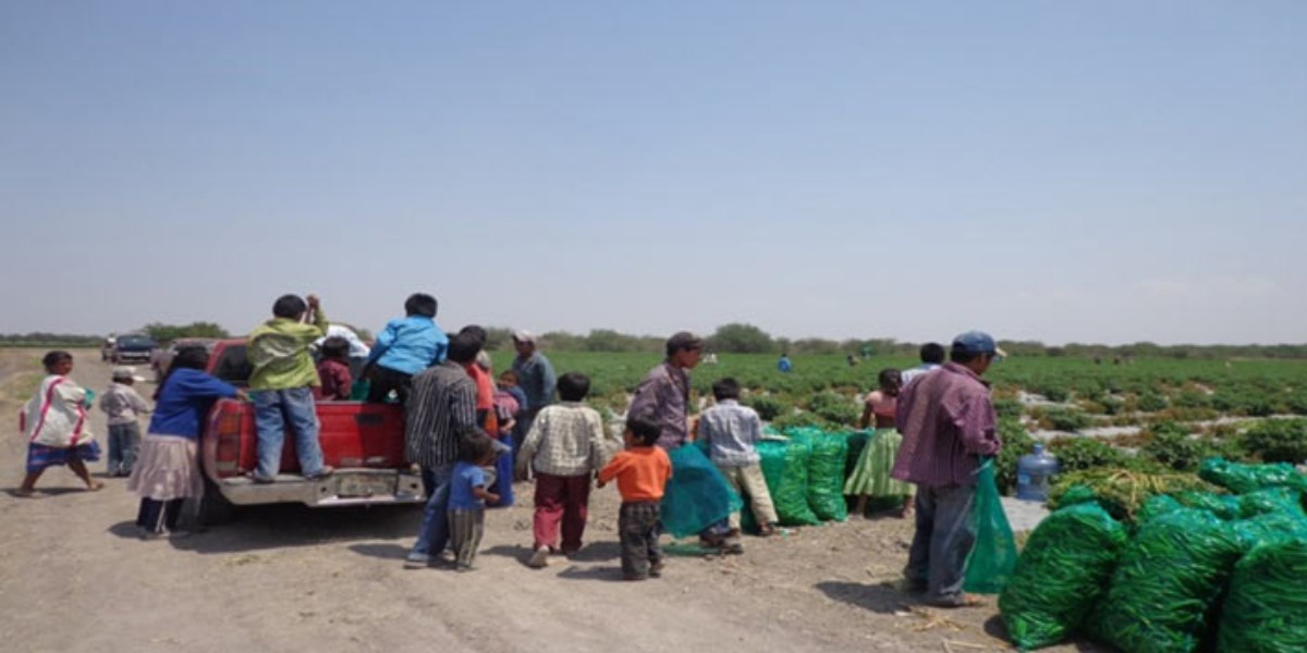 Reactivará DIF León programas de atención a jornaleros agrícolas