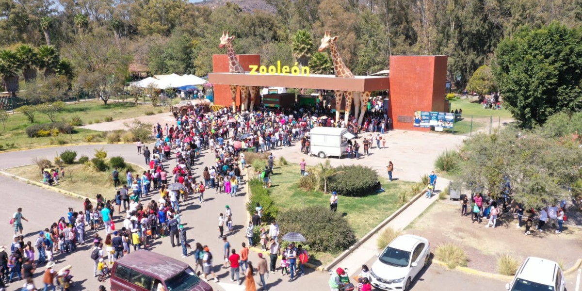 Disminuyen visitas al Zoológico de León por temporada de calor