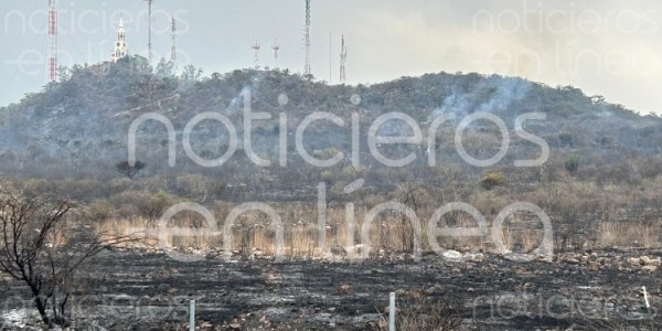 Fuerte incendio de pastizal en la zona norte de León alerta a las autoridades