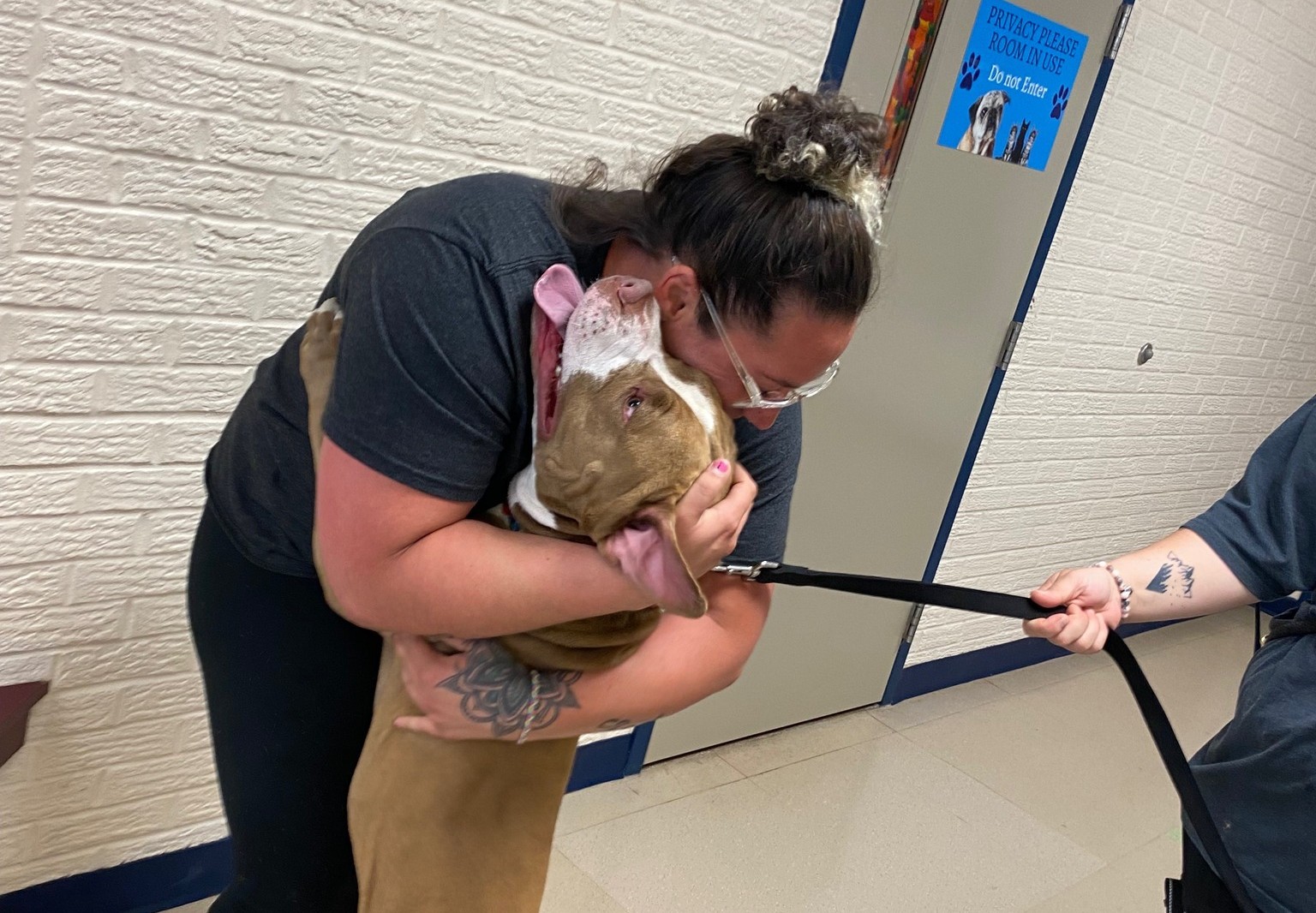 Siempre a su lado: mujer se reencuentra con su perro después de 2 años desaparecido