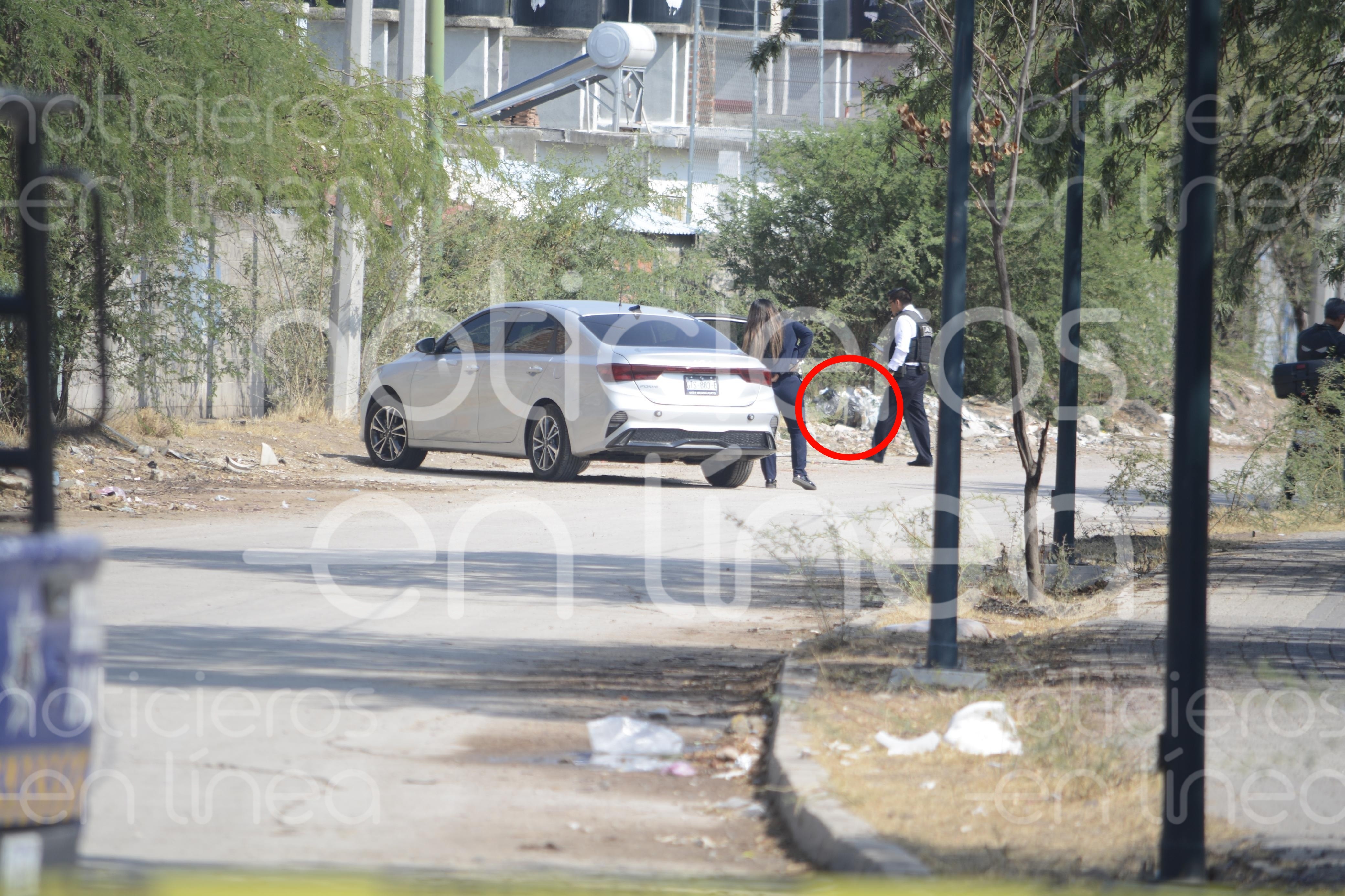 Hallan a perros devorando el cadáver de una persona en Rancho los Naranjos
