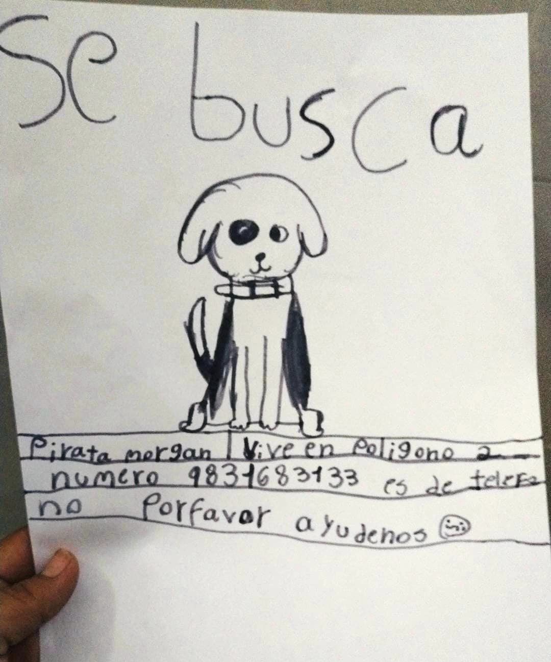 Abuelita en Chetumal encuentra a su perro con ayuda de tierno dibujo de su nieta