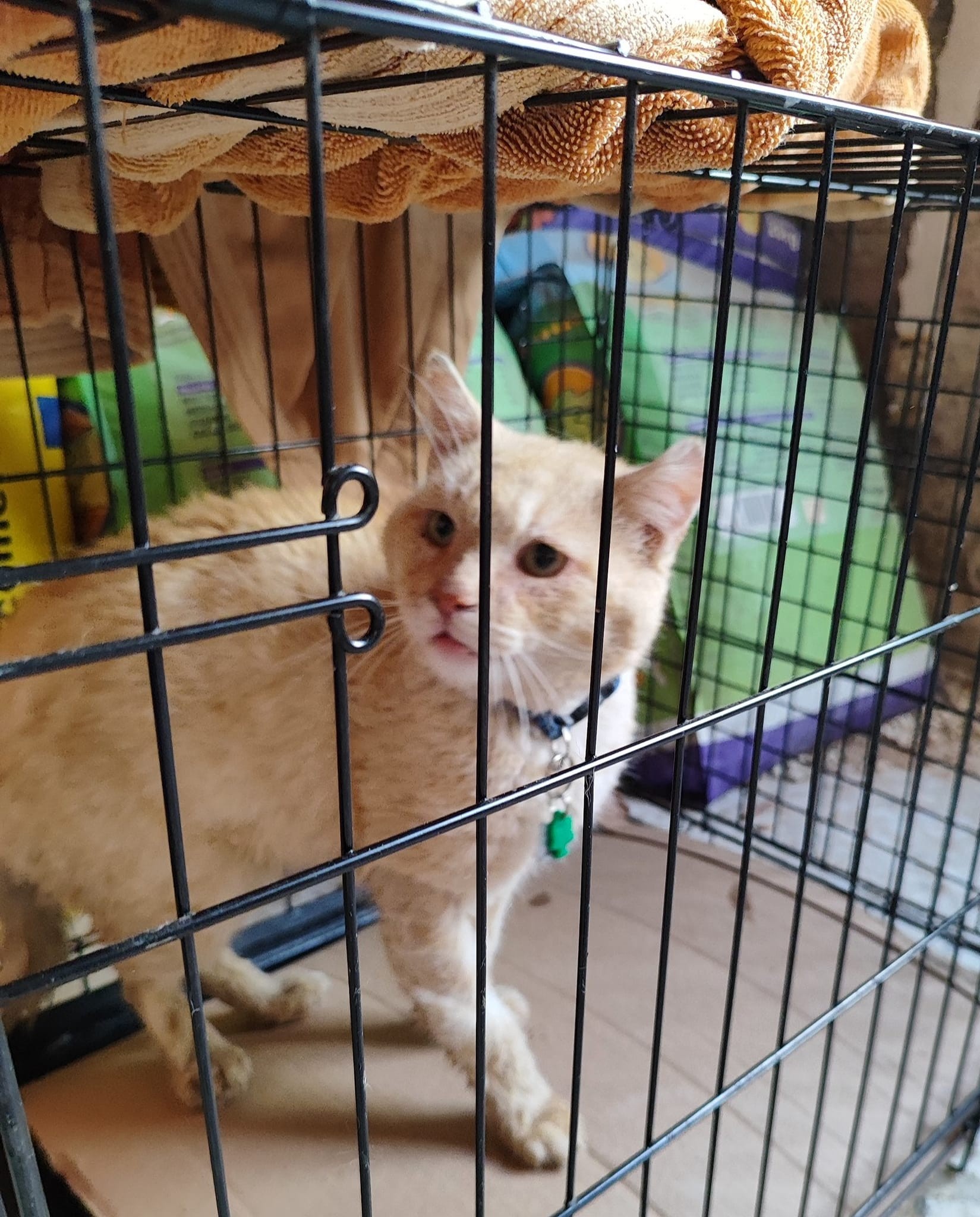 Tandeo de agua pega a albergues de animales en León