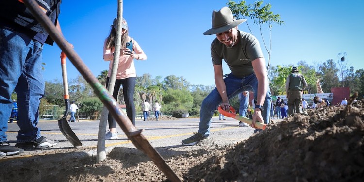Arranca forestación masiva en León; la meta es plantar 10 mil ejemplares