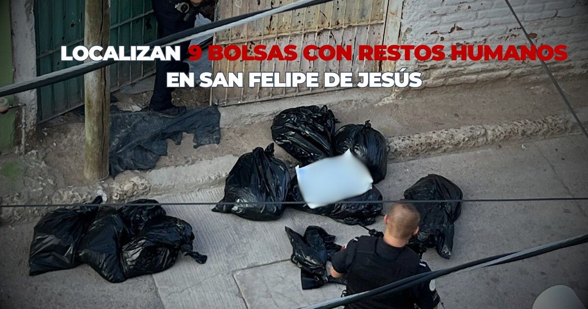 Localizan 9 bolsas con restos humanos en San Felipe de Jesús
