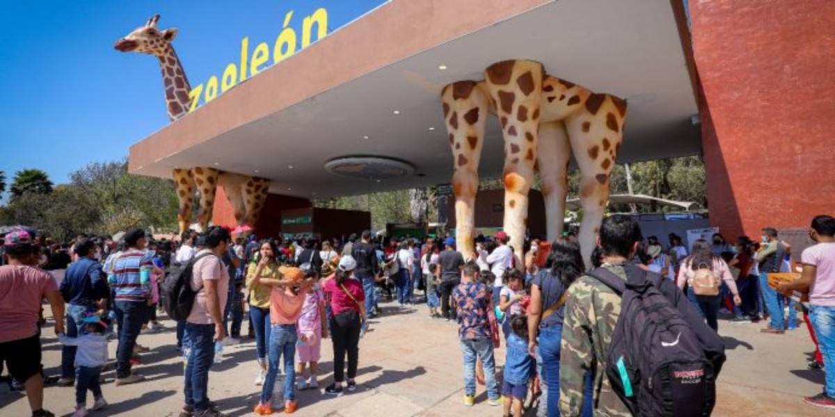 Invertirán 18.2 mdp en nueva sección de juegos infantiles en Zoológico de León