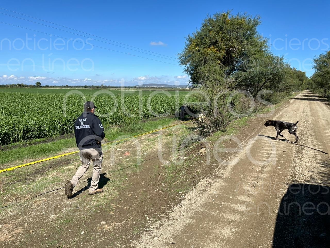 Localizan restos enterrados de al menos tres personas en Barretos