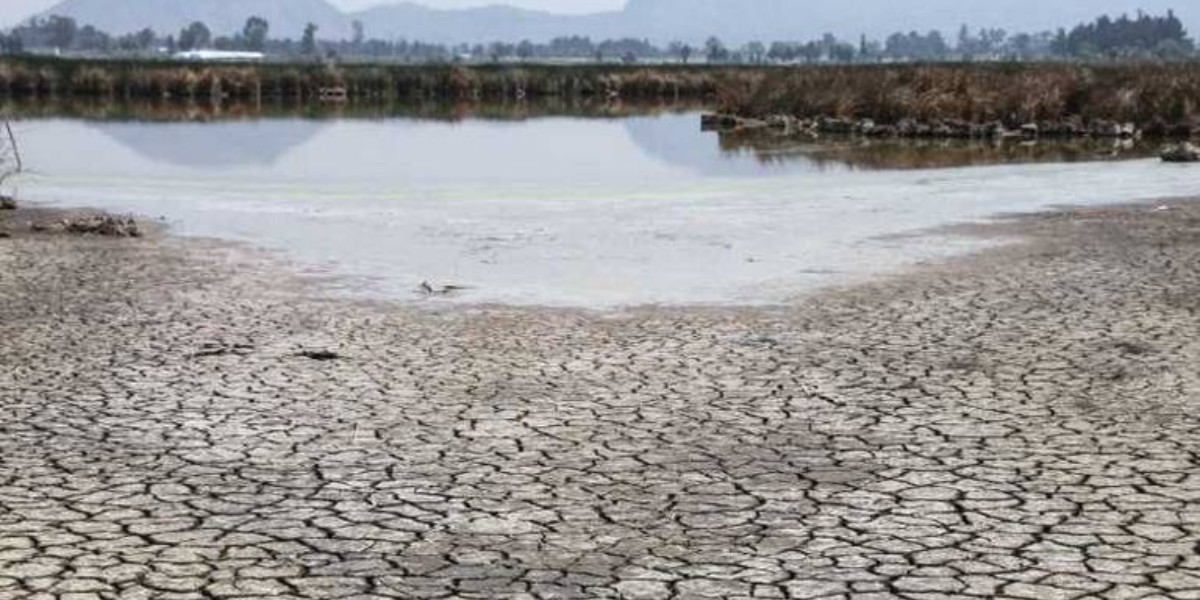 Son 16 municipios guanajuatenses en los niveles más altos de sequía