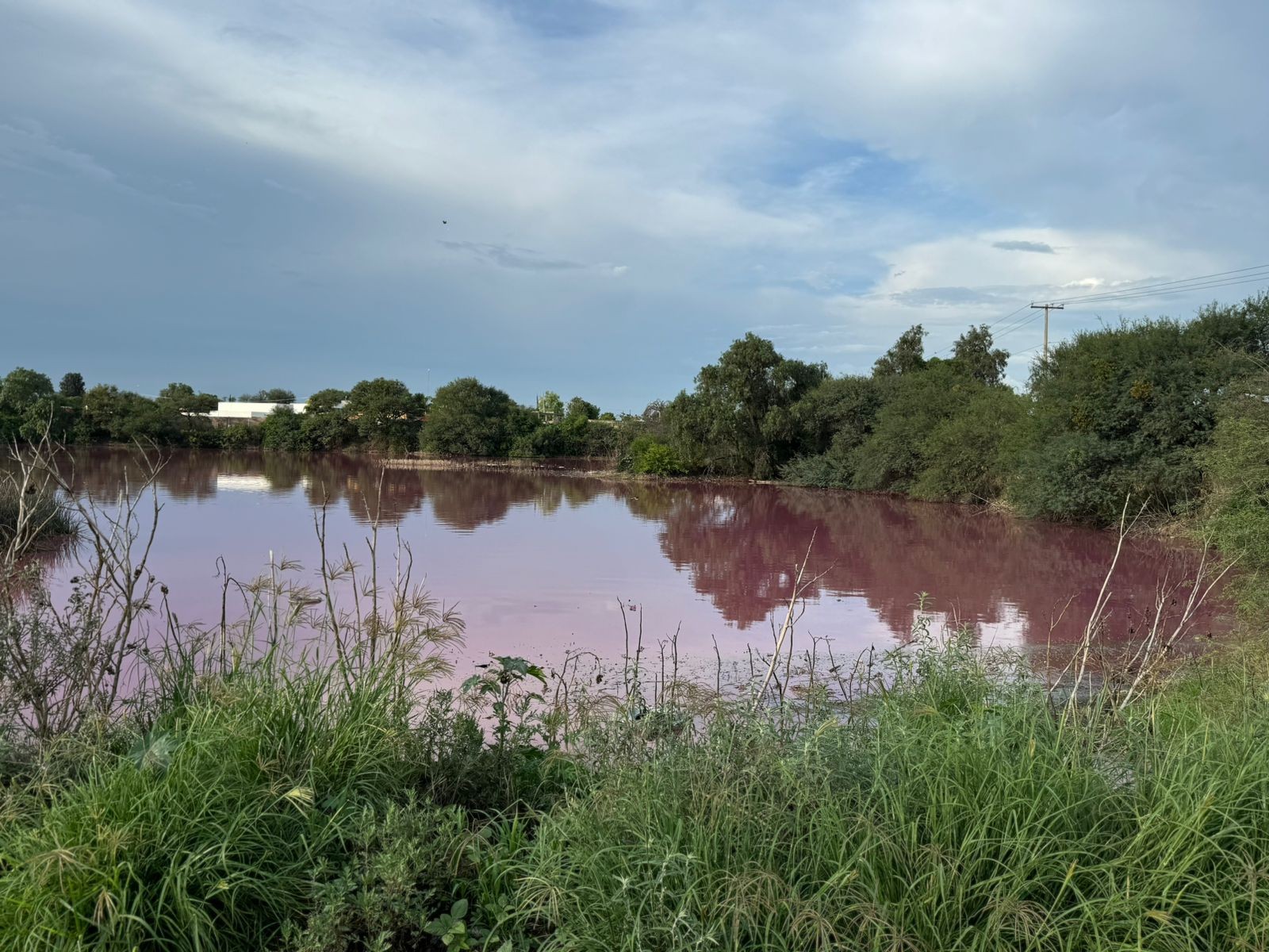 Denuncia SMAOT contaminación en presa entre León y SFR