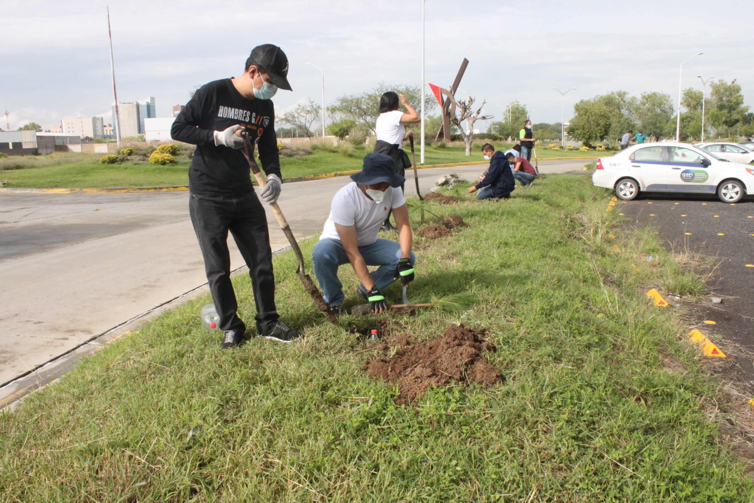 Rompe récord administración municipal en árboles plantados